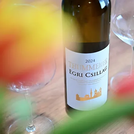 One Luxury Grand アパート